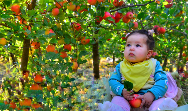 Malatya'da Sonbahar