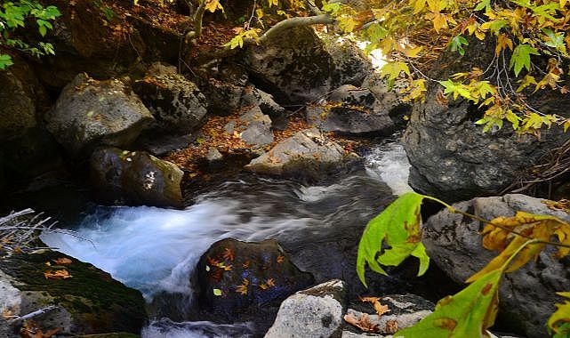 Doğanşehir'de Sonbahar