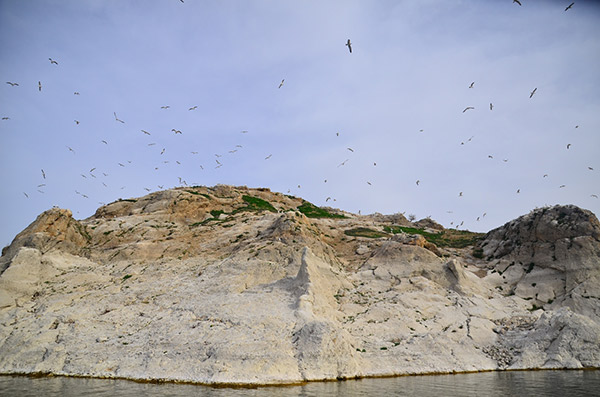 Martı Adası... Güneyce Köyü/İzollu/Malatya (Kömürhan Köprüsü karşısı)