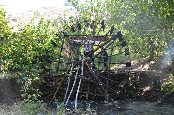 Koru (Tepte) Köyü/Arapgir