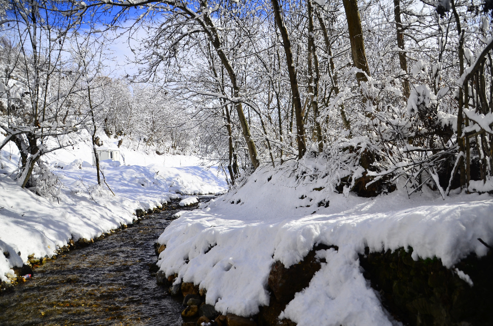 Horata Deresi ve Bahçe yolları