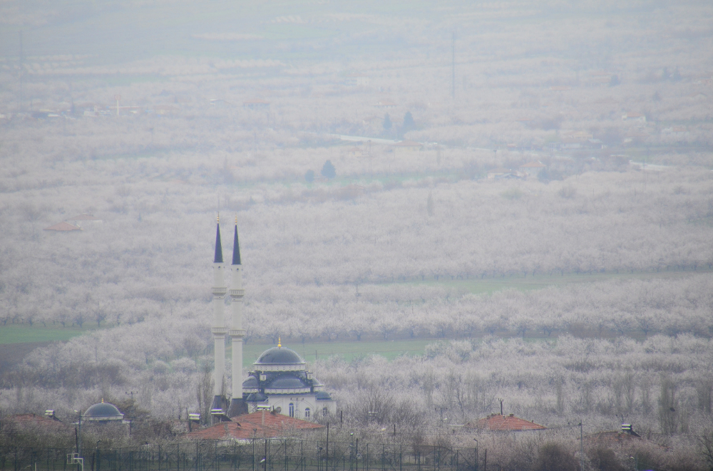 Tabiat bir yandan sarsıyor, bir yanda da sarıyor. Bir yandan yıkıyor, bir yandan tutuyor!