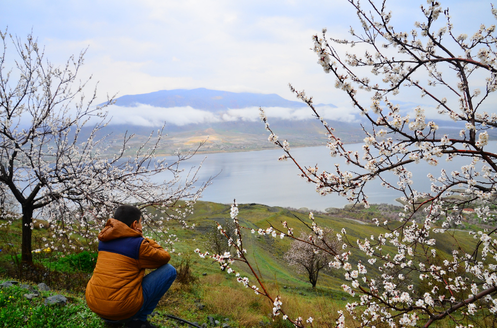 Tabiat bir yandan sarsıyor, bir yanda da sarıyor. Bir yandan yıkıyor, bir yandan tutuyor!