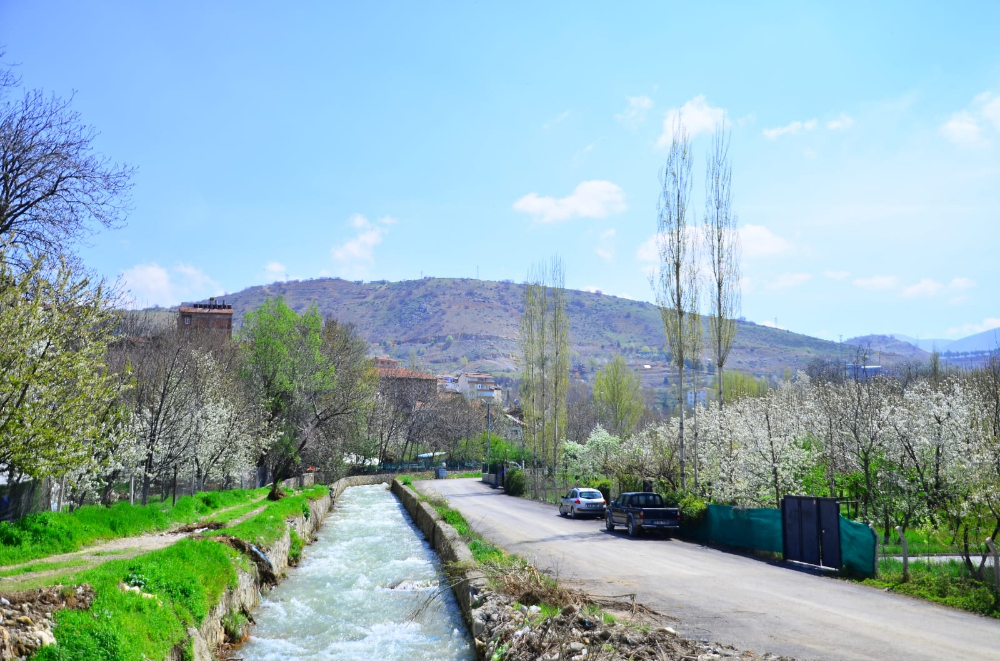 Gündüzbey'de bahar ve kiraz çiçekleri