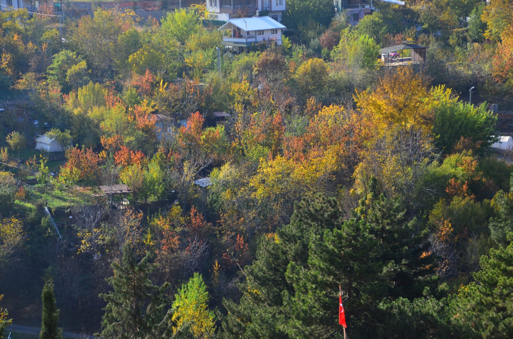 Gündüzbey'de Sonbahar