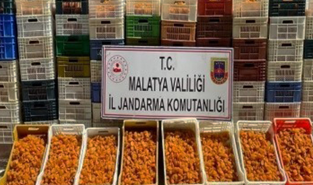 JASAT ekipleri iş başında!