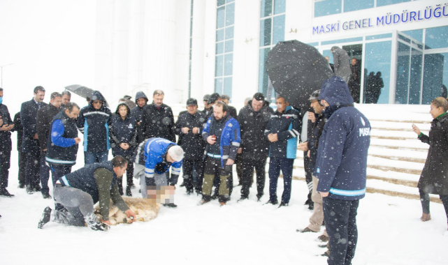 Malatya MASKİ'de şükür kurbanı!