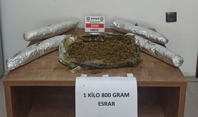 Narkotik köpeği esrar buldu