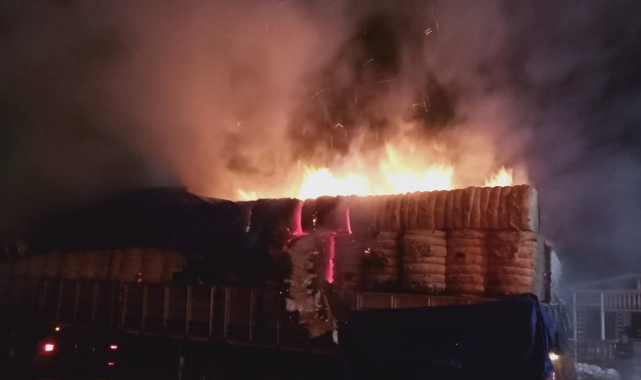 Malatya'da korkutan yangın: Alevlere teslim oldu