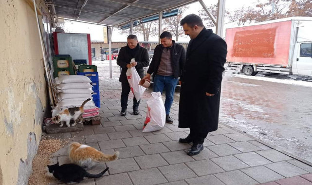 Sokaktaki canlılar soğukta unutulmadı