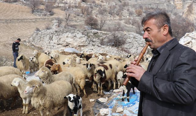 Aslan: Kaval olmazsa peşim sıra gelmiyorlar!