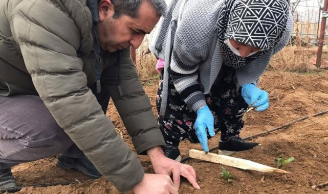 Çiftçilere mazot ve gübre desteği ödeme tarihleri açıklandı