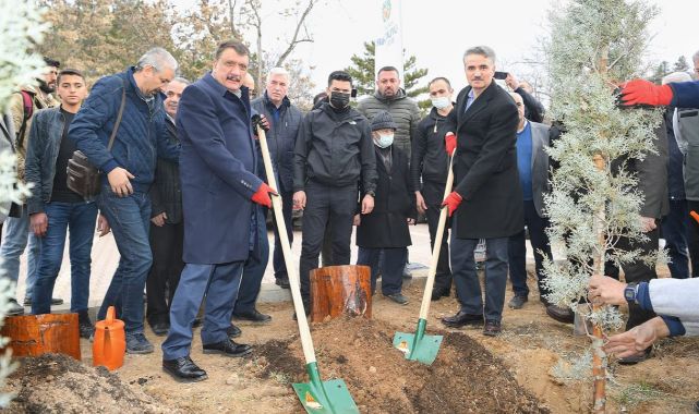 Gürkan: Doğuştan mezara kadar ağaca muhtacız