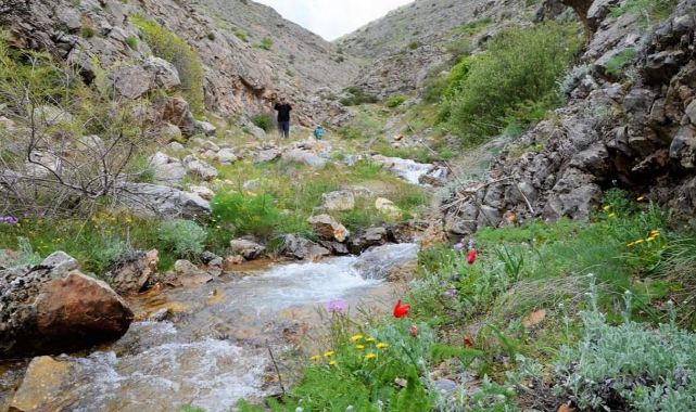 Kuzugölü Vadisi… Belki bir rüyaydı
