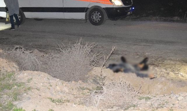 Malatya'da korkunç cinayet: 24 yaşındaki ölü bulundu