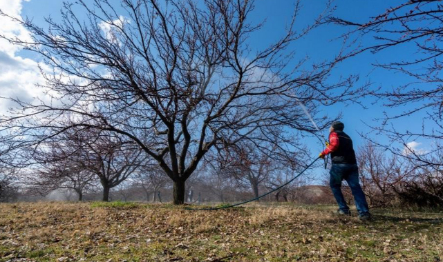 Meteorolojiden "zirai don" uyarısı!