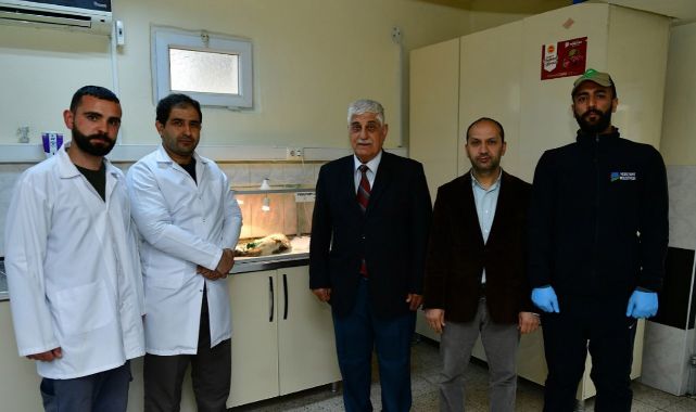 Yaramaz kediyi ekipler kurtardı