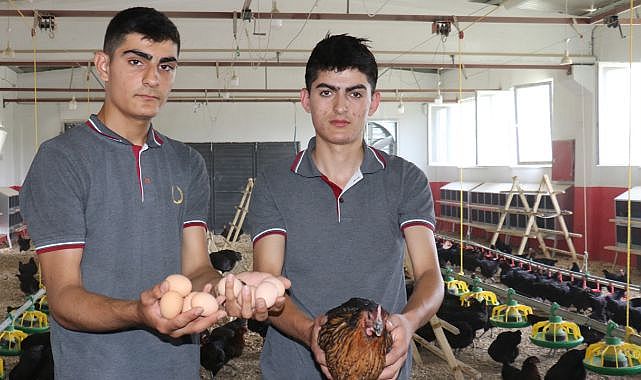 Hem ders işliyor hem para kazanıyorlar!