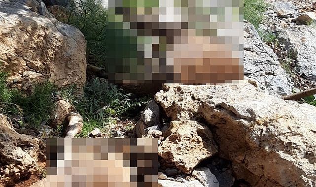 Malatya il sınırında yıldırım faciası!