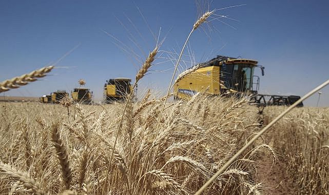 833,6 milyon liralık tarımsal destek ödemeleri...