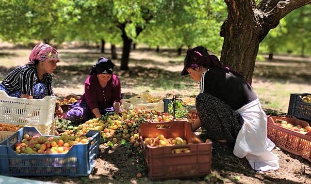 Fırsatçılar şimdi yandı!