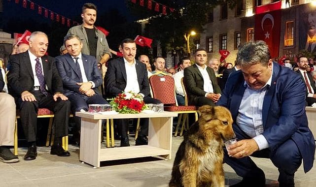 Vekilin köpek sevgisi!..