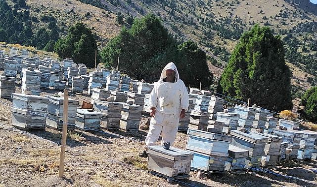 Arıcılık sevdalısının meslek hikâyesi...
