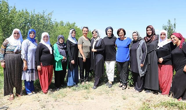 Ata tohumu sebzelerde hasat zamanı!