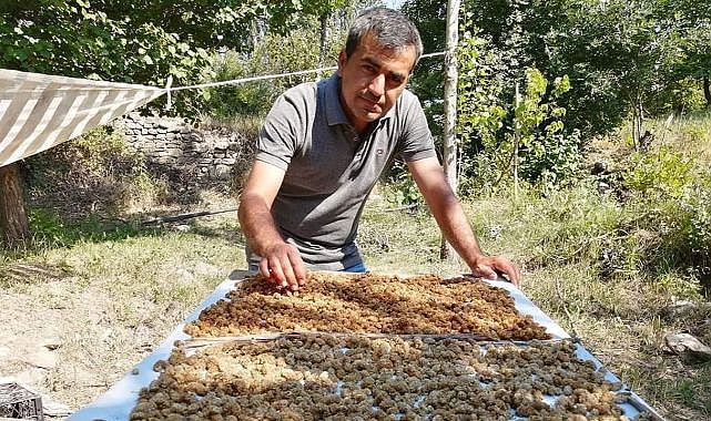 Genç girişimcinin ürettiği ürünlere ise talep yağıyor