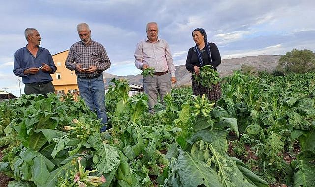 Her şey yarım saat içerisinde oldu!