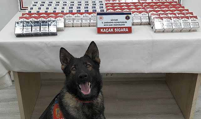 Kaçakçılık, 'Yolcu' tepki verince ortaya çıktı!