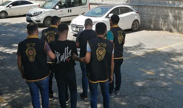 Kayısı hırsızları kıskıvrak!