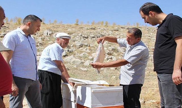 Osmaniye’den Darende’ye Arıcılık öyküsü