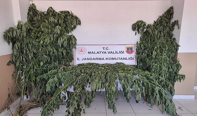 Uyuşturucuya geçit yok!