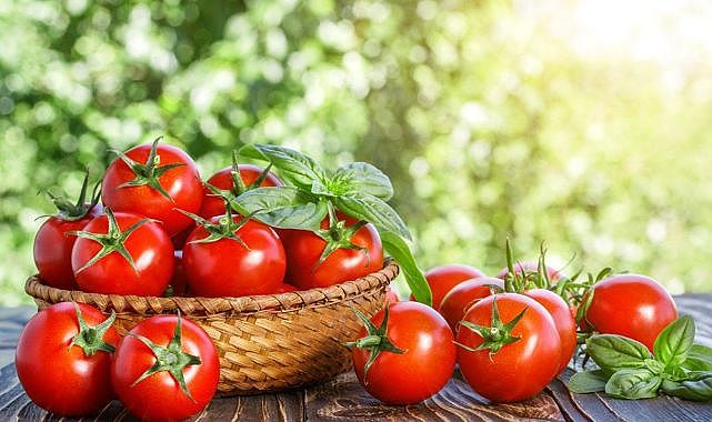 Ticaret Bakanlığı'ndan izin alınacak