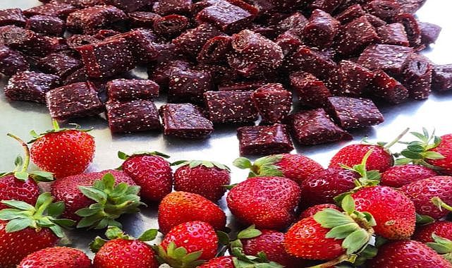 Çilek, artık pestil olarak soframıza geliyor