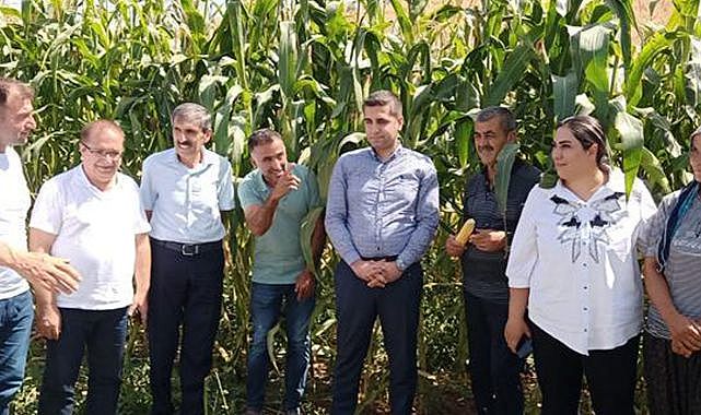 Hasat tarla günü etkinliği düzenlendi