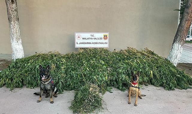 Kilolarca uyuşturucu madde ele geçirildi