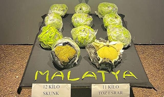 Bonita, taze fasulye ile kamufle edilmiş uyuşturucuyu buldu