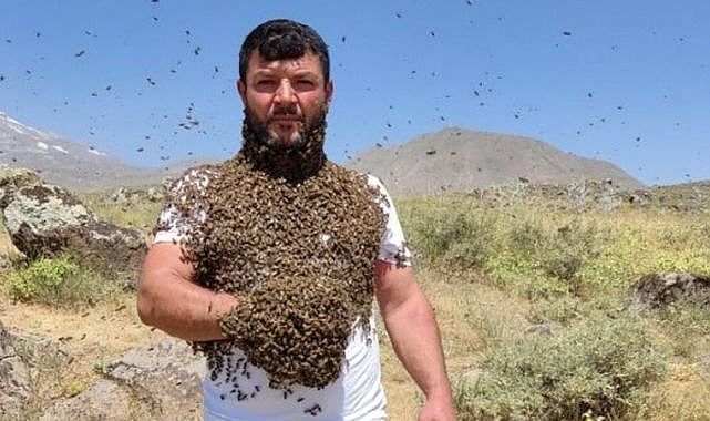 Kovandaki binlerce arıyı vücudunda taşıdı