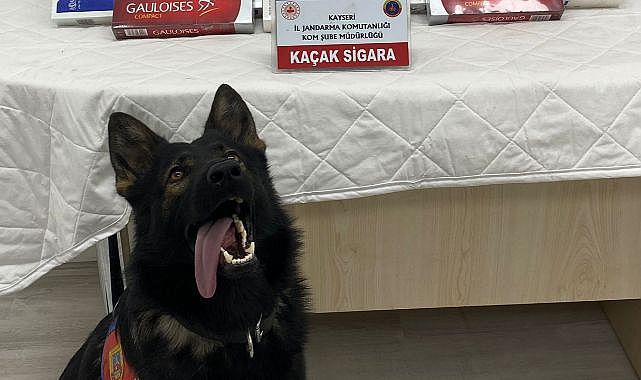 'Yolcu', sigara kaçakçılarını engelledi