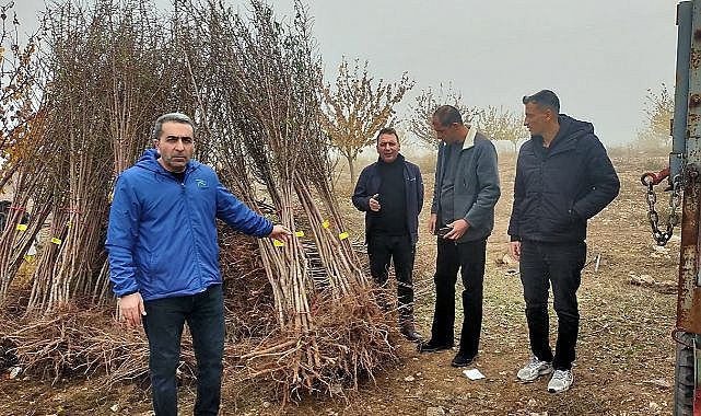 Atıl durumdaki araziler üretime kazandırılıyor!