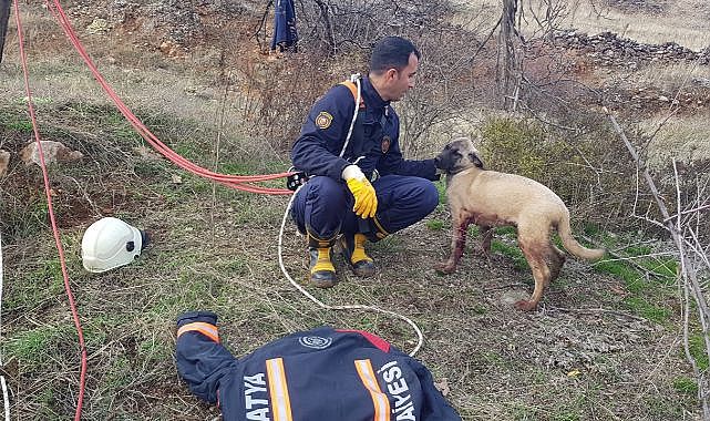 Ekipler kuyuya düşen köpek için seferber!