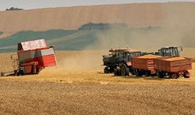 Hekimhan'da yerli ve milli bitki üretimi!