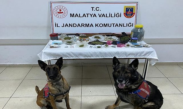 Jandarmadan 4 adrese baskın!