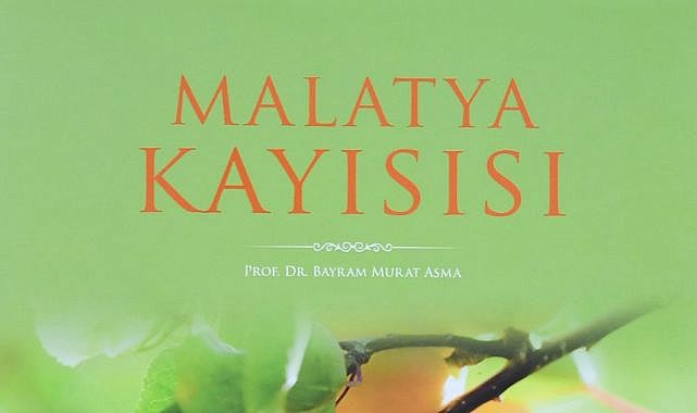 “Malatya Kayısısı” finalde yarışmaya hak kazandı