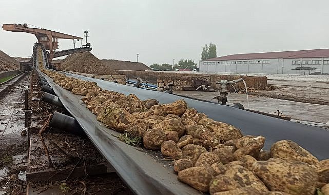 Malatya şeker fabrikasında 43 bin ton şeker üretildi