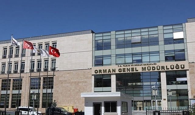 Orman Genel Müdürlüğü Orman Mühendisi alacak