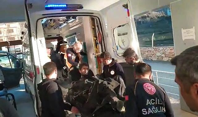 Yaban domuzunu vurmak isterken ağabeyini vurdu!