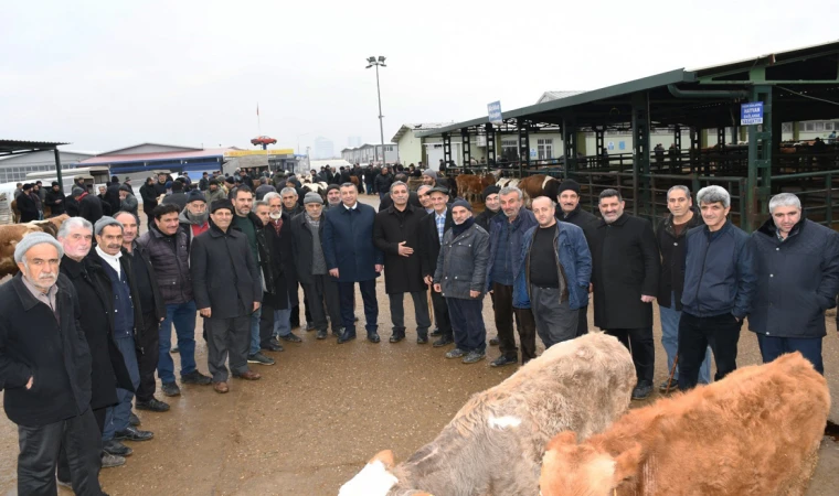 Özcan: Yem fabrikalarında karara uyulmadı!